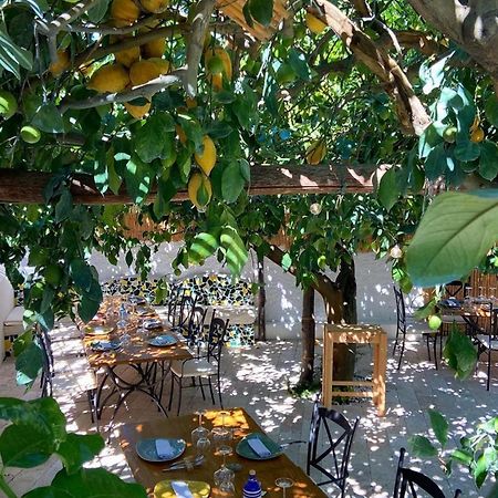 Don Salvatore Resort 몬테 디 프로치다 외부 사진