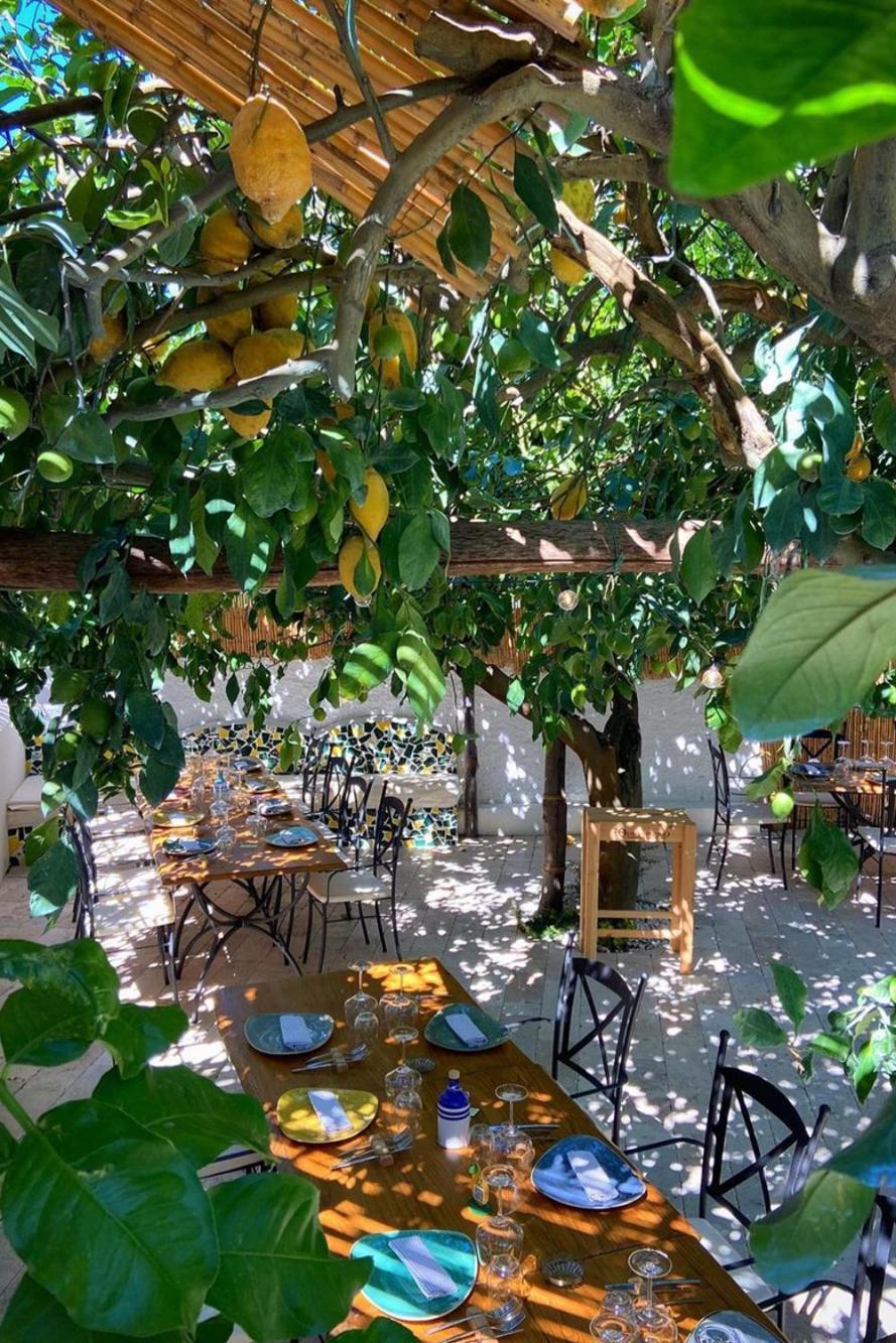 Don Salvatore Resort 몬테 디 프로치다 외부 사진